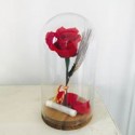 Campana de cristal con rosa roja preservada